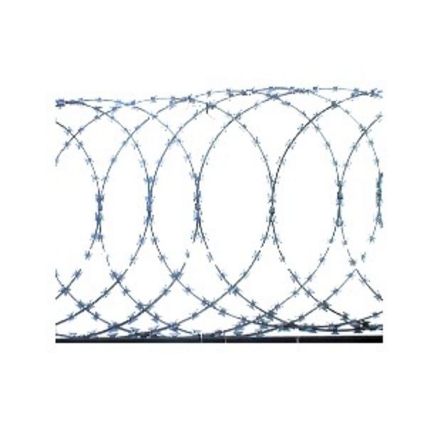 Picture of RAZOR WIRE FLAT 500MM 15M